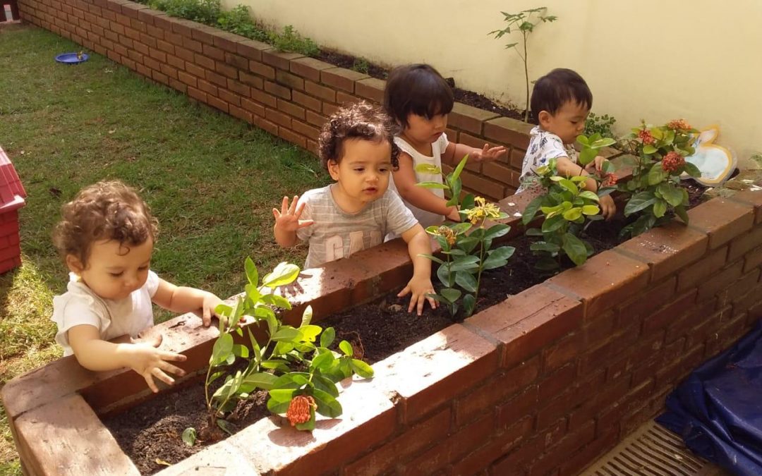 Como incentivar o respeito ao meio ambiente?